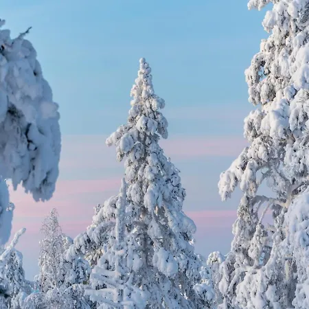Aekaesentie 1 A 302 By In Lapland דירה